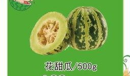 吃瓜比赛的口号,吃瓜比赛口号引领全民狂欢