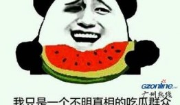 吃瓜群众到底什么意思,网络时代的围观者心态解析