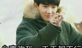 吃瓜娱乐圈任嘉伦是谁啊,娱乐圈的瓜中明星，揭秘他的魅力与成就