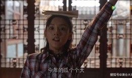 吃瓜娱乐圈的人