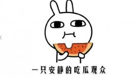 吃瓜是啥意思,网络热词背后的文化现象