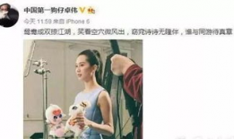 刘诗诗娱乐圈吃瓜视频,揭秘明星幕后生活