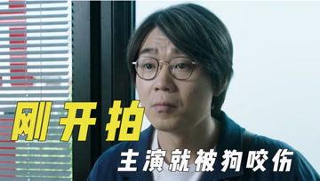 娱乐吃瓜君y,揭秘娱乐圈幕后故事，带你领略明星真实生活