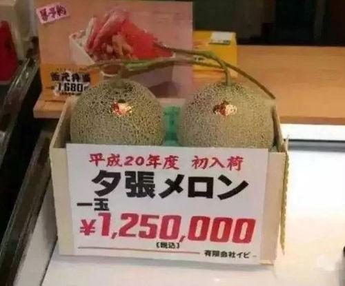 娱乐吃瓜7045,7045事件背后的真相与内幕