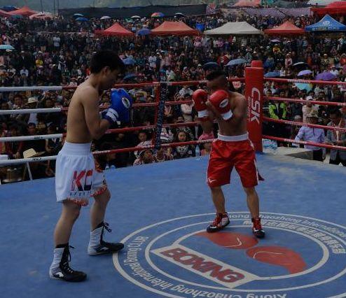 吃瓜娱乐拳击比赛视频播放