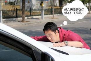 娱乐吃瓜碰瓷片段,吃瓜群众围观明星“互撕”大戏