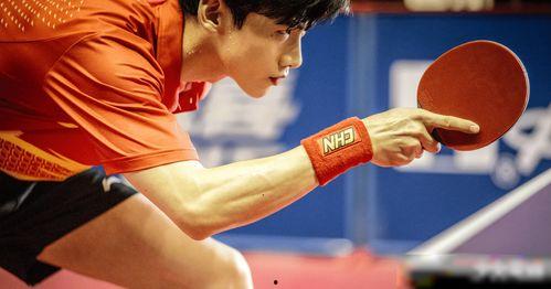 娱乐圈理性吃瓜白敬亭