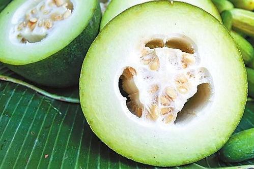 吃瓜网 今日看料